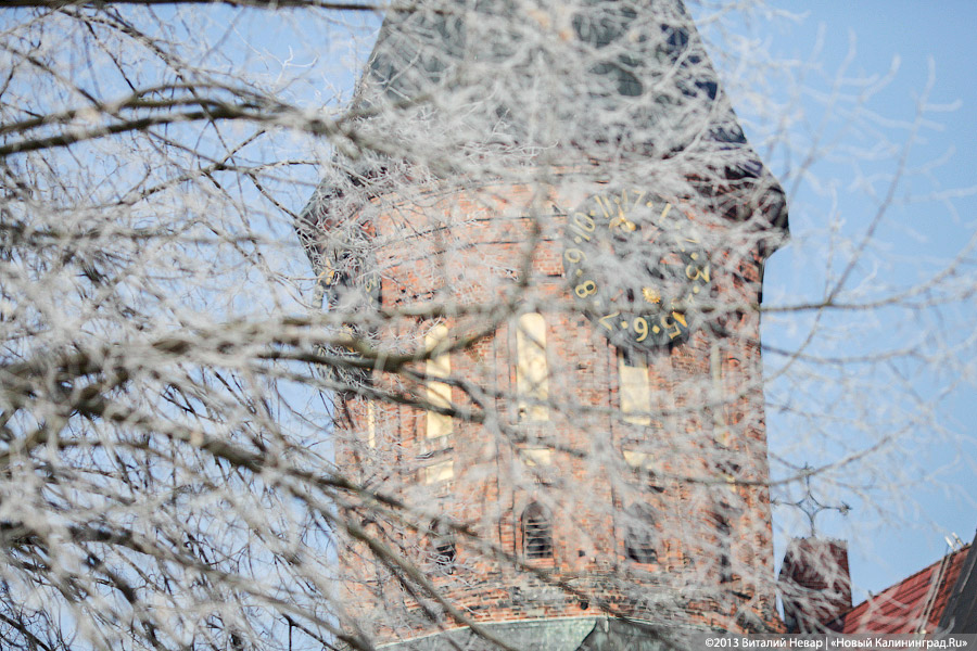 Виталий Невар / Новый Калининград