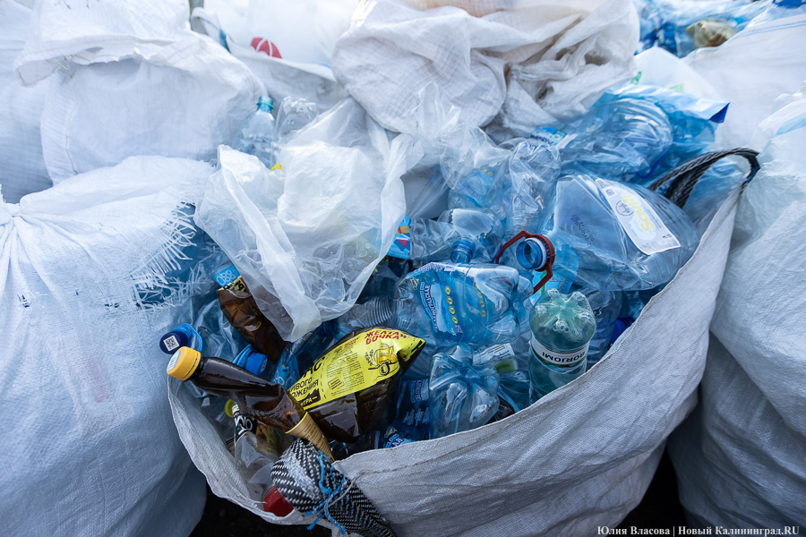 Под Калининградом планируют строительство завода по переработке пластика