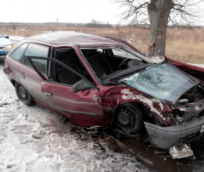 В Полесском районе в ДТП пострадал водитель «Опеля», врезавшегося в дерево (фото)