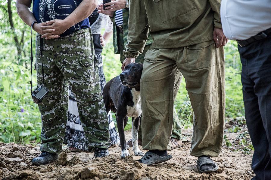 По следам мародёров: в Багратионовском районе поисковики перезахоранивают советских солдат