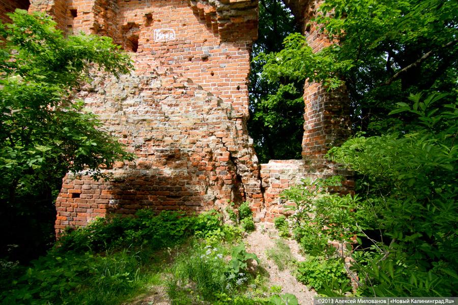 Черепки и воронки: «черные копатели» регулярно разграбляют руины кирхи в Корнево