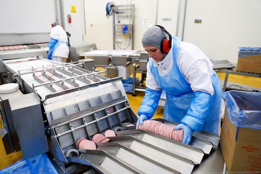 Галопом по котлетам: главе Минсельхоза РФ показали два завода в Калининграде