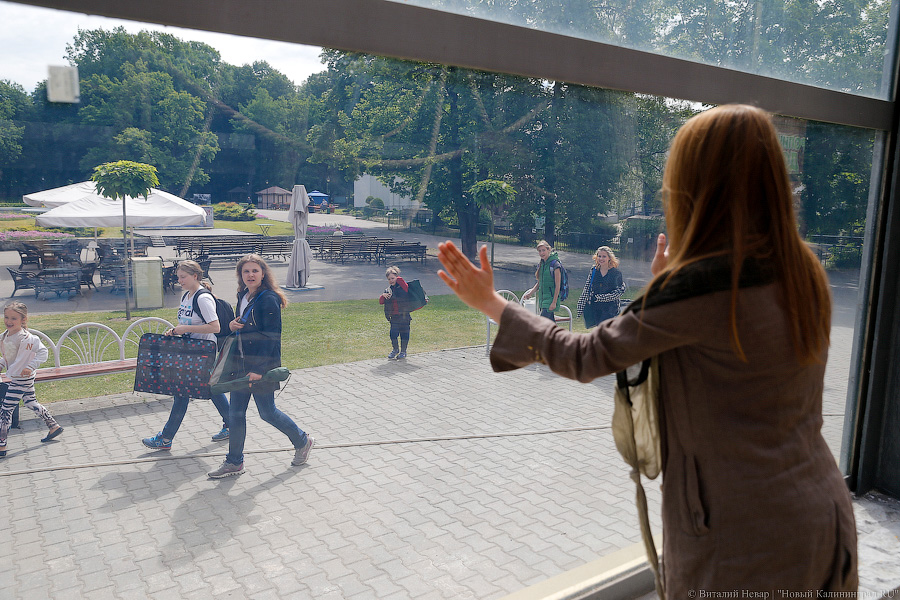 За стеклом: как живется в вольере для орангутанов Калининградского зоопарка