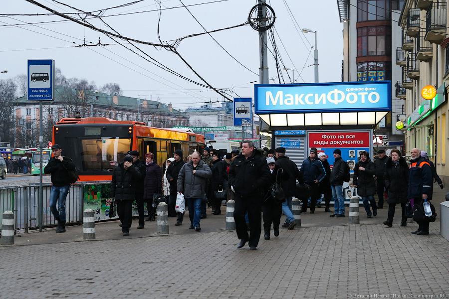 Жертвы транспортной войны: как калининградцы на работу добирались (фото)