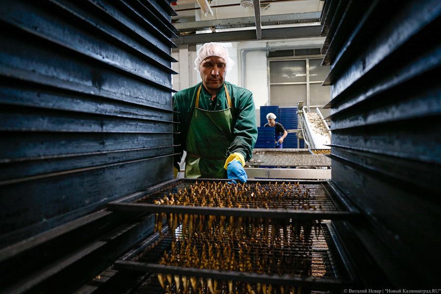 Мы готовы накормить Россию: калининградцы хотят заместить консервы Евросоюза