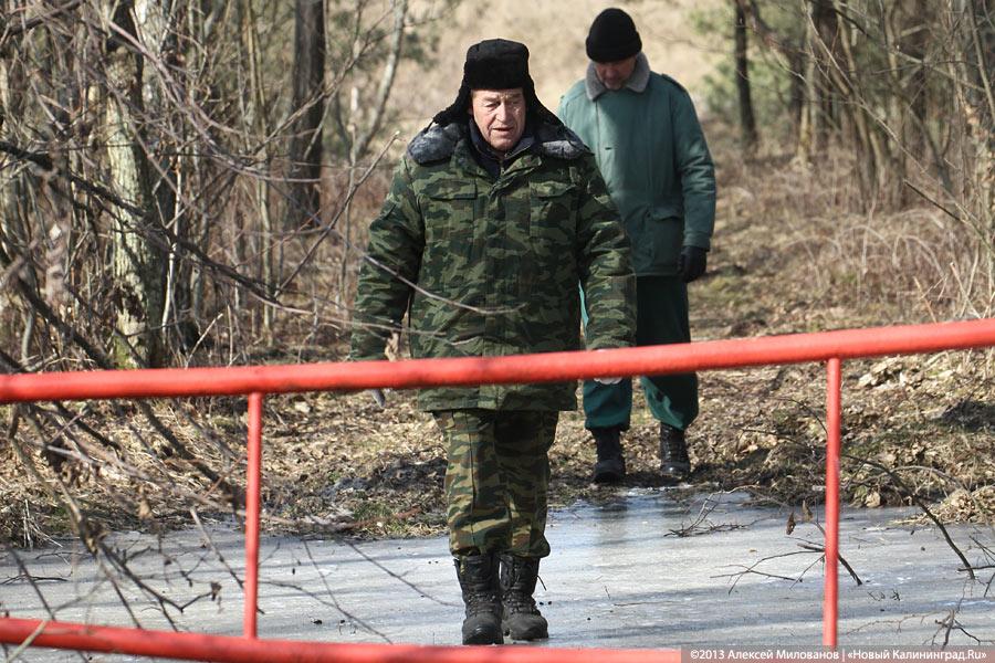 «Всех посчитали»: как происходит подсчёт диких животных на Куршской косе
