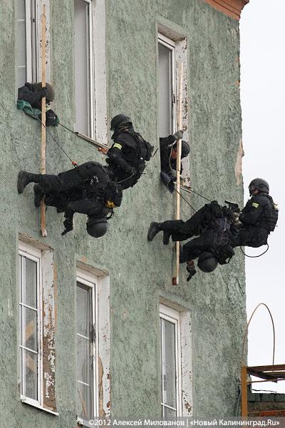 «Под флагом Башара»: фоторепортаж с антитеррористических учений