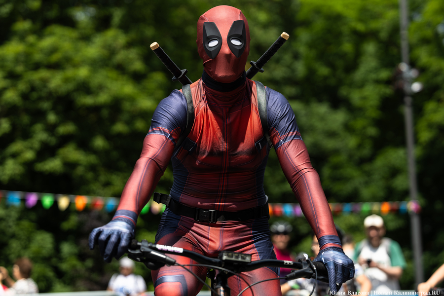 «Море положительных эмоций»: в Калининграде прошёл велопарад «День колеса» (фото)