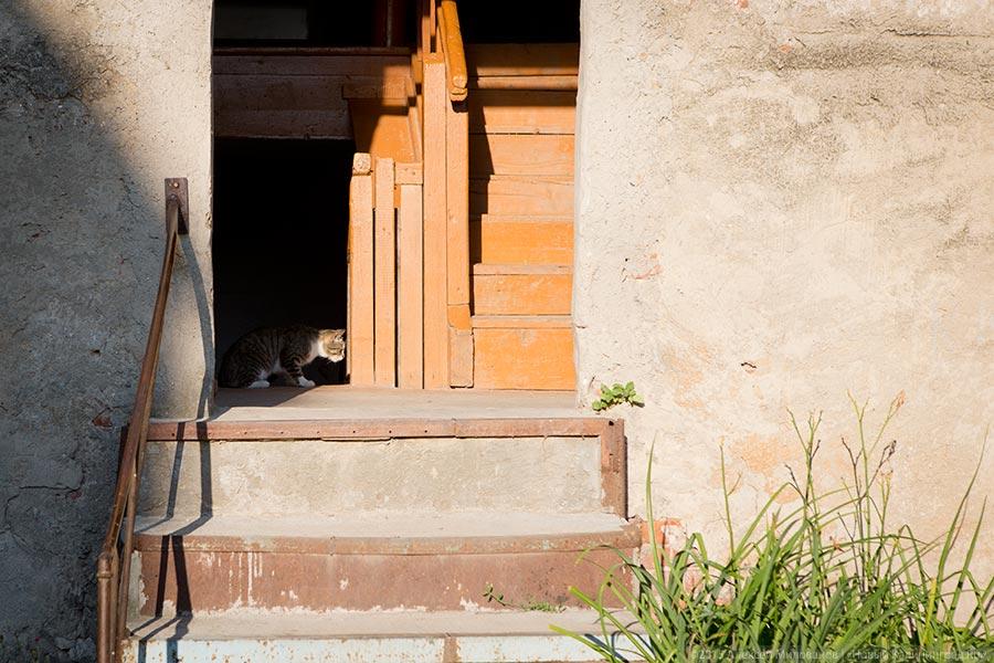 Даркемен, Ангерапп, Озёрск: как живет город с тремя именами