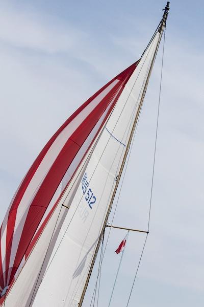 В погоне за ветром: репортаж с парусной гонки «Кубок трёх губернаторов»