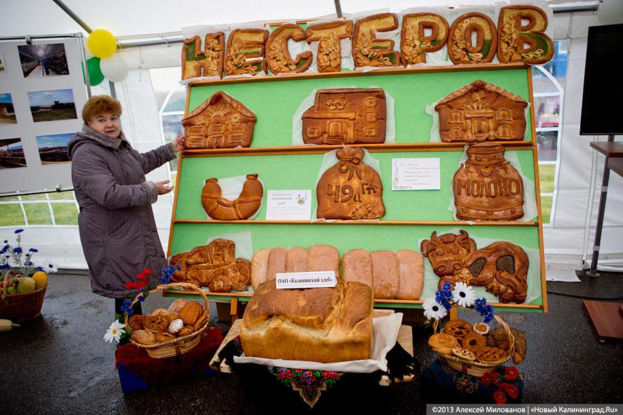 «Процветает всё кругом»: трёхлетие губернатора отметили муниципальным фестивалем (фото)