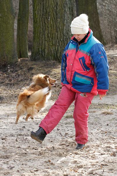 «Главные по тарелочкам»: фоторепортаж с соревнований по дог-фрисби