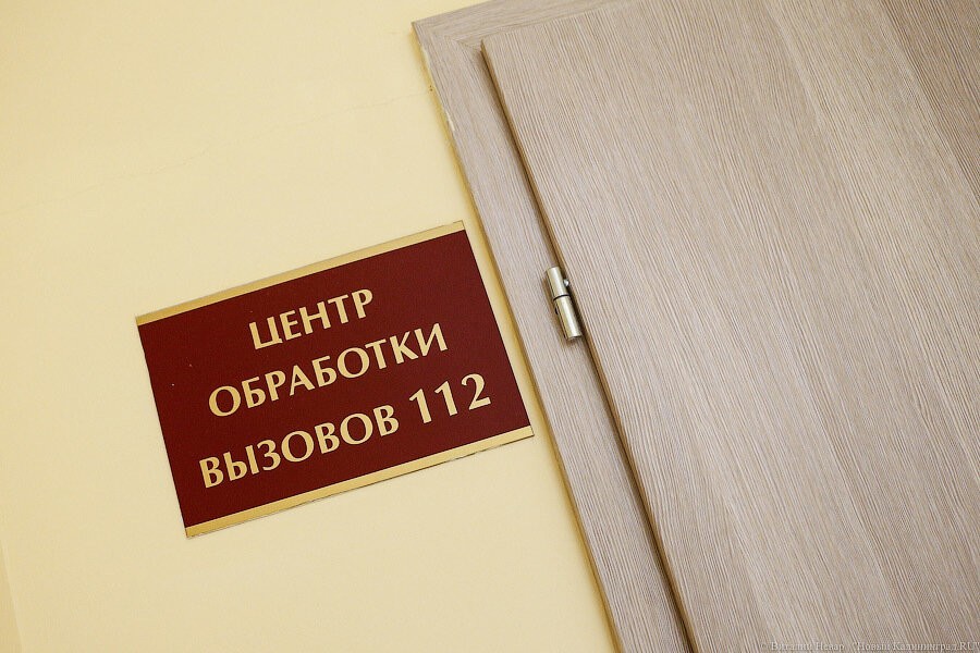 Калининградцы за неделю 7 раз звонили в экстренные службы с просьбой спасти лебедей
