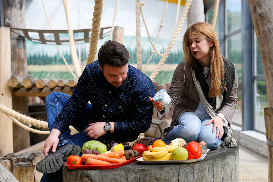 За стеклом: как живется в вольере для орангутанов Калининградского зоопарка