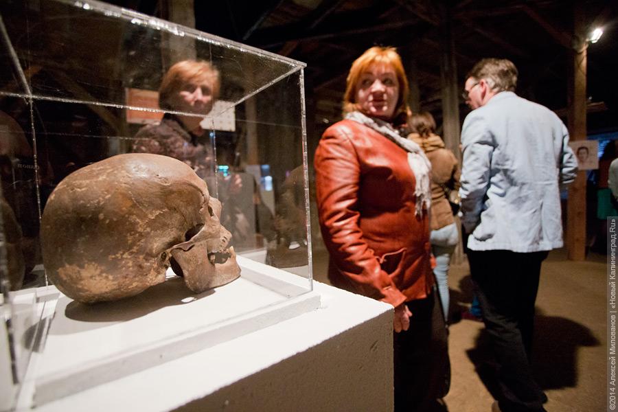 «Здесь можно провалиться»: как прошла «Музейная ночь» в Калининграде