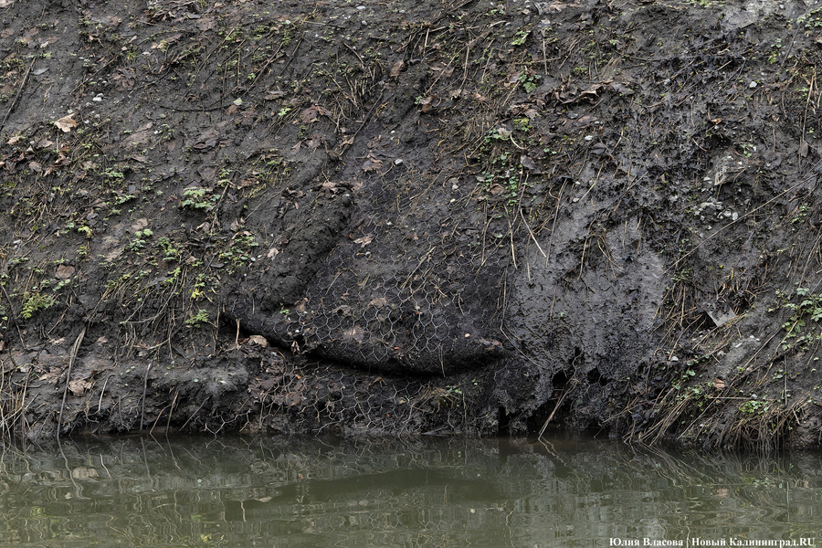 Непролазная грязь: как выглядит берег Литовского ручья в ожидании реновации (фото)