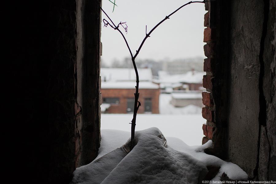 «Пустые дома: судьба „Понарта“»: фотопроект «Нового Калининграда.Ru»
