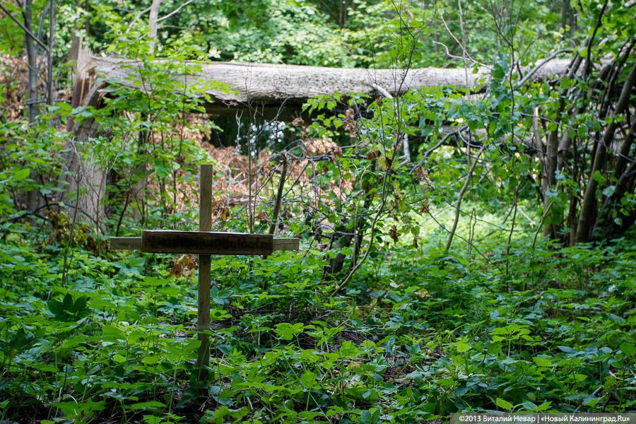 По следам Первой мировой: памятники павшим в Гвардейском районе