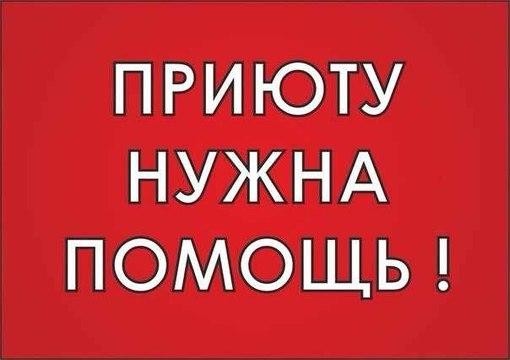 Приюту для бездомных животных «Тимвилль» срочно нужна помощь