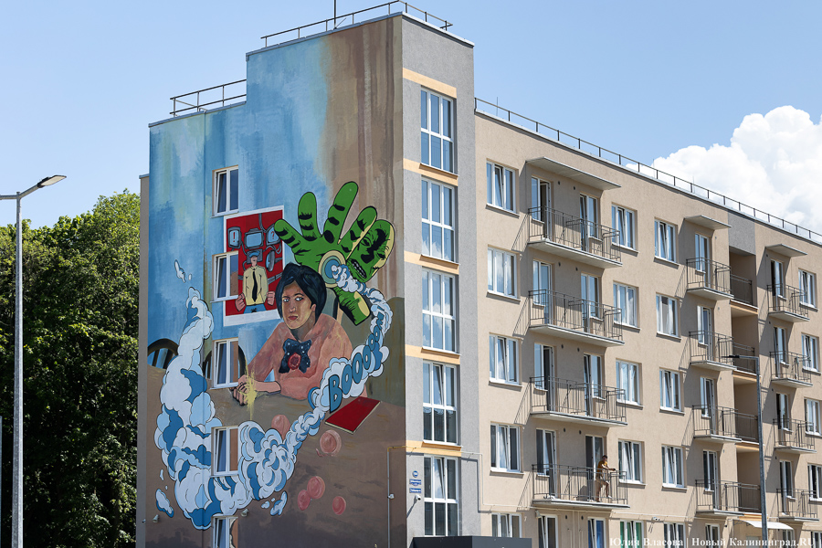 То, чему предстоит стать классикой: на зданиях БФУ им. Канта нарисовали четыре мурала (фото)