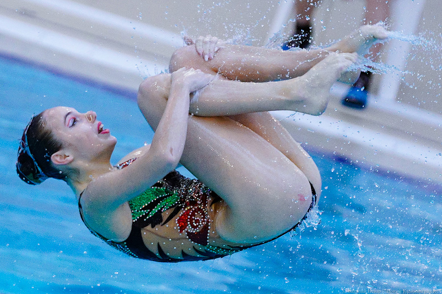 В Калининграде проходит Кубок России по синхронному плаванию. Вот как это выглядит (фото)