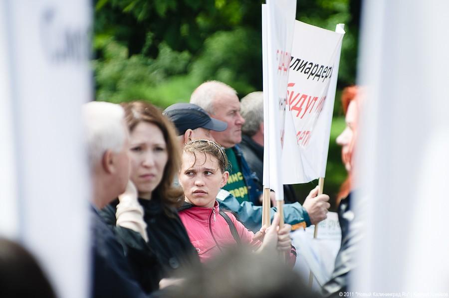 «Вялый зеленый протест»: фоторепортаж «Нового Калининграда.Ru»