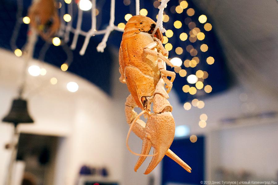 Где раки зимуют: владелец рачевни «Поплавок» Виталий Лозинский