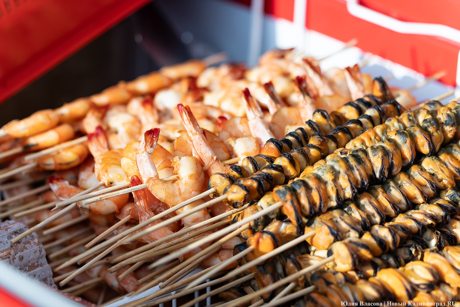 И рыба, и мясо: в Зеленоградске открылся гастрономический «Фиштиваль» (фото)