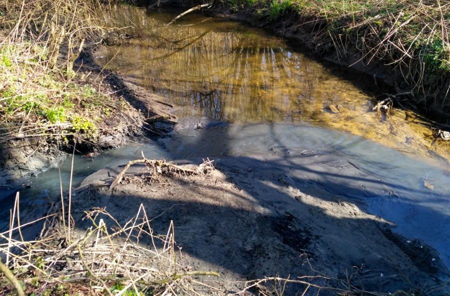 В Калининграде нашли десятки незаконных выпусков сточных вод в ручей Лесной