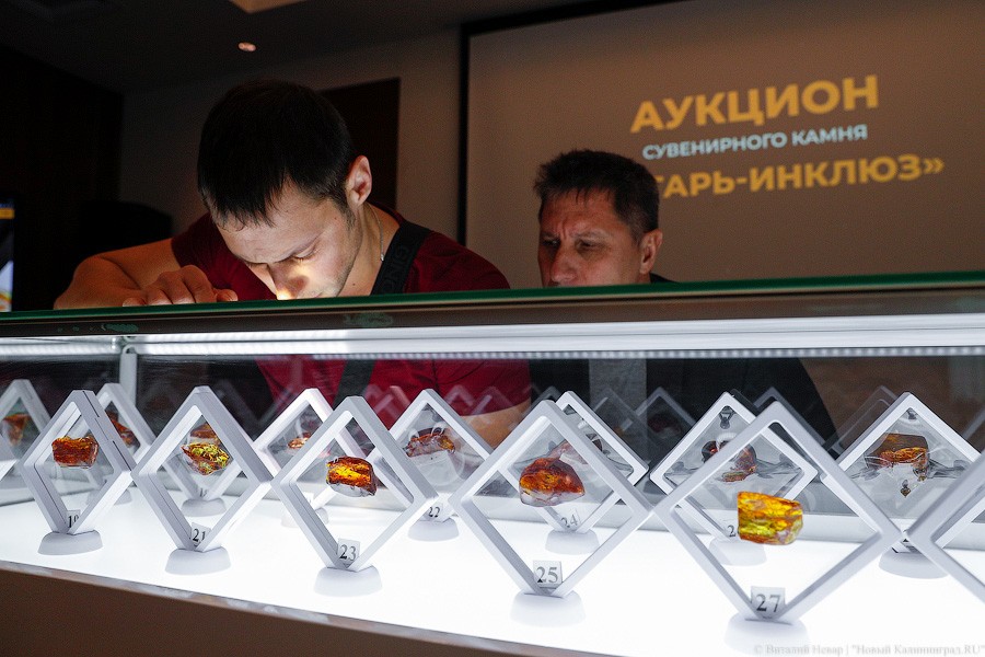Янтарная козявка: чем закончились первые в Калининграде торги по инклюзам (фото)