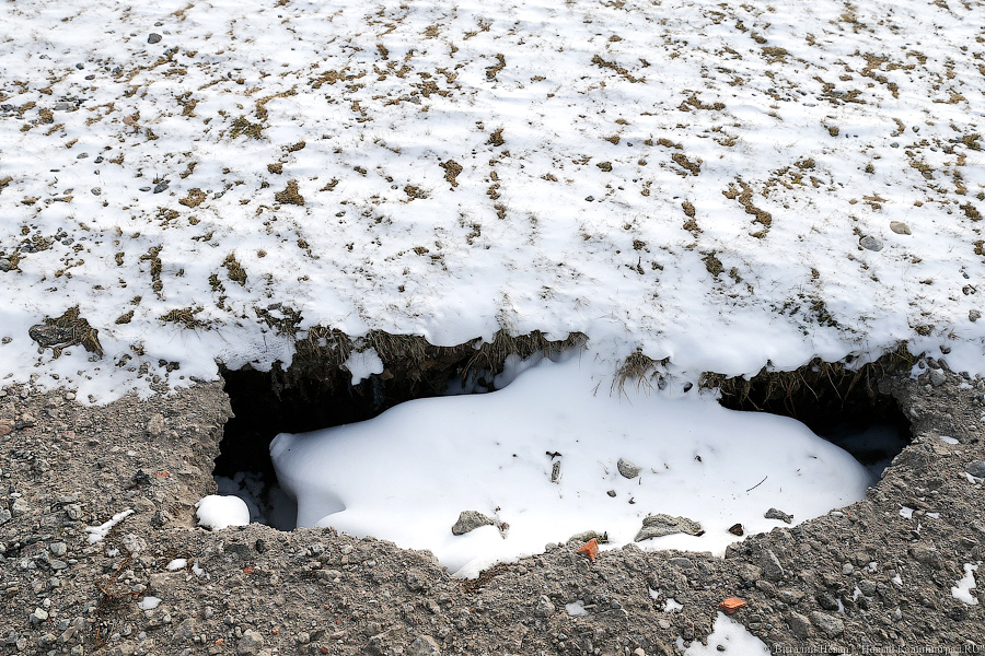 Под давлением: что происходит с берегом у резиденции президента в Пионерском