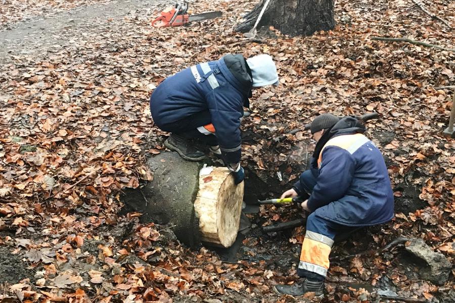 В парке им. Теодора Кроне затампонировали еще один выпуск из-за стоков из особняков