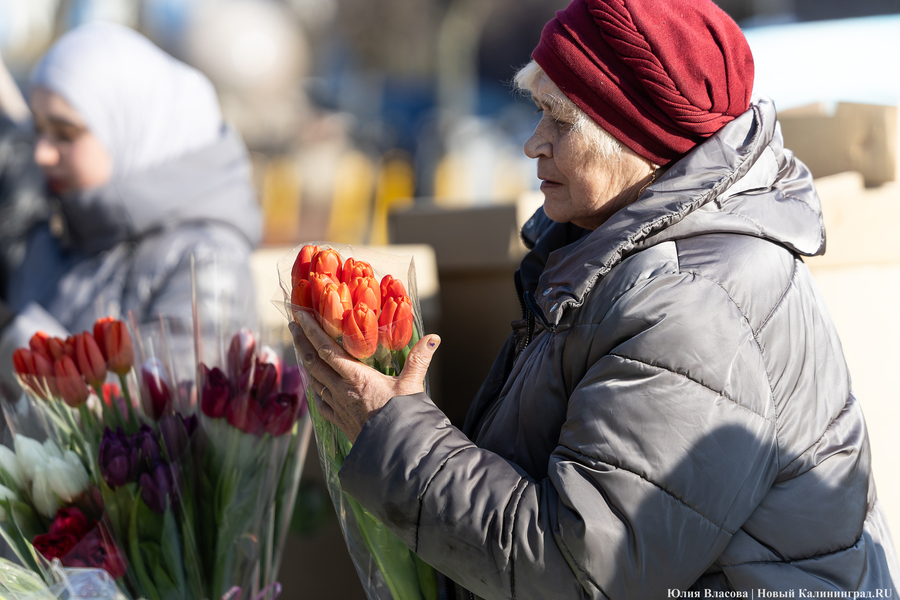 Кругом мимозы и тюльпаны: как выглядят улицы Калининграда 8 марта (фото)