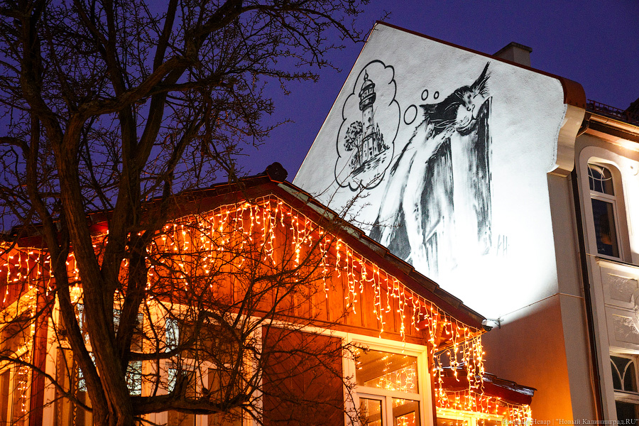 Зеленоградск украсили к Новому году. И если вы там ещё не были, срочно смотрите наш фоторепортаж (фото)