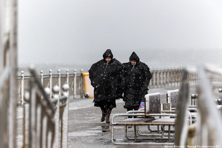 Штормовая вселенная: как циклон «Золтан» накрыл Зеленоградск (фото)