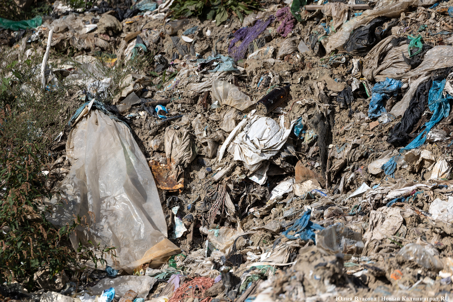 «Стихией управлять не научились»: как глава Минприроды РФ понюхал воздух в Круглово (фото)