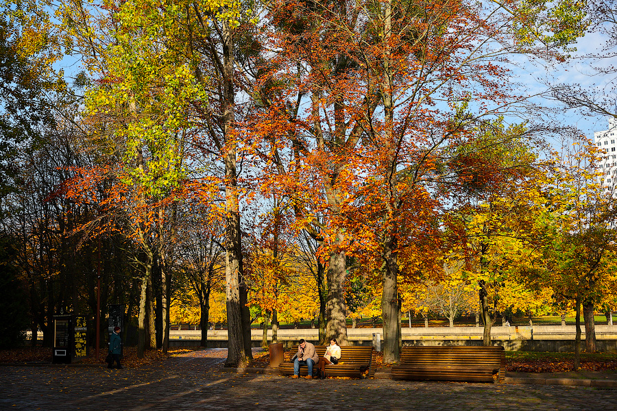 Время тыквы: как в Калининграде проходит необычная осень (фото)