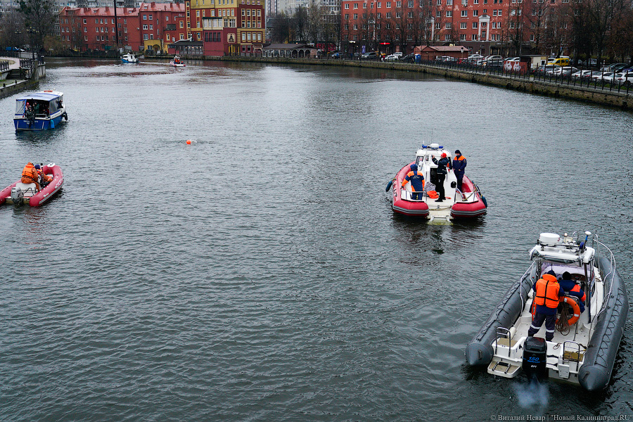 День моржа: как пловцы пытались защитить экосистему Преголи (фото)