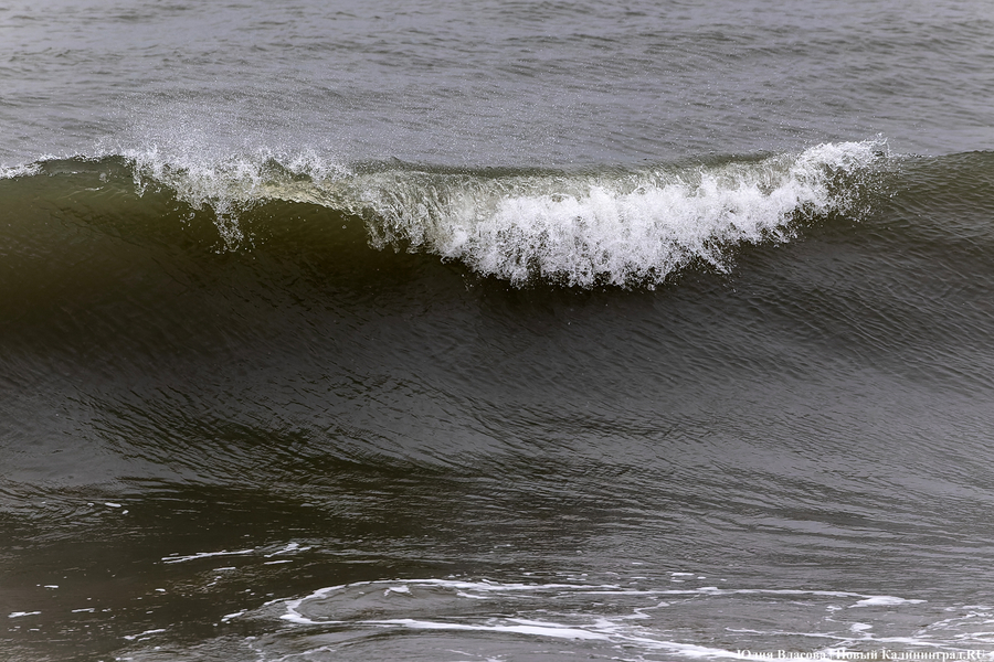 Штормовая вселенная: как циклон «Золтан» накрыл Зеленоградск (фото)