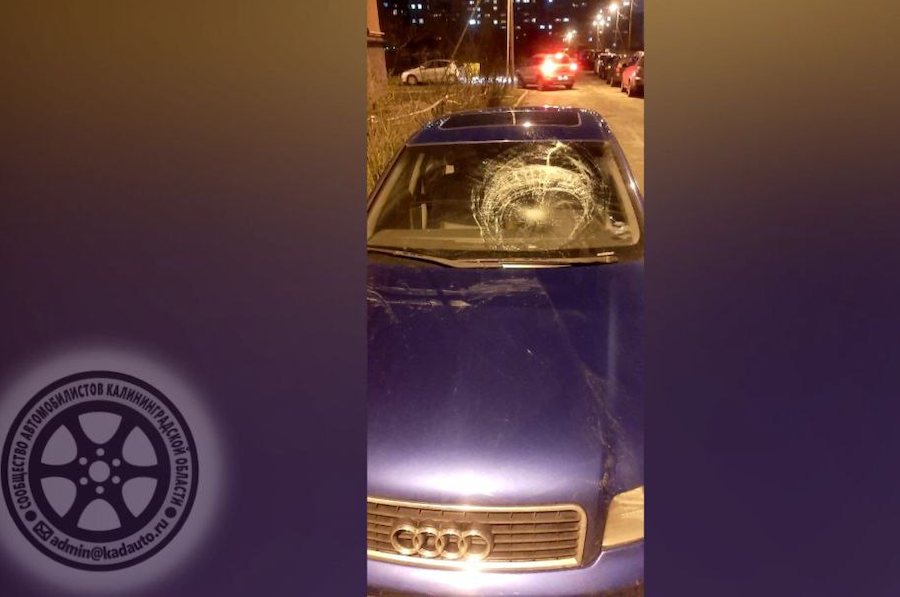 В Калининграде неизвестный разбил лобовое стекло «Ауди» ногами и скрылся (видео)