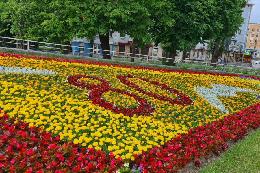 В Калининграде начали высаживать летние цветы к Дню города