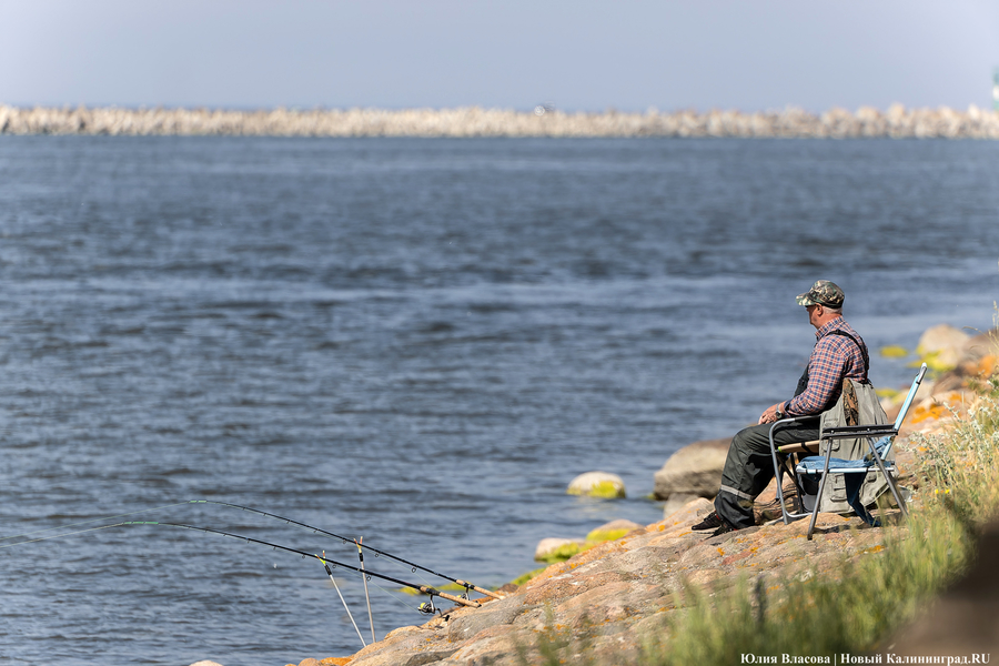 Погода в Калининградской области 30 июля 