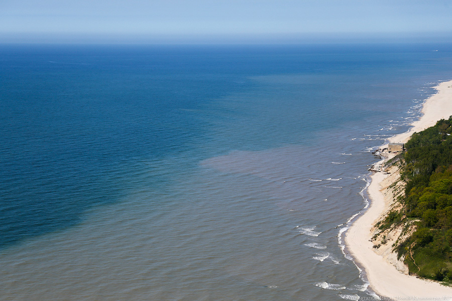 Виталий Невар / Новый Калининград