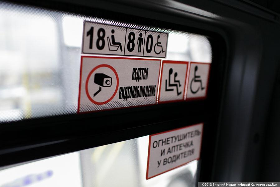 «Транспорт-паразит»: маршрутки в Калининграде как оружие массового поражения