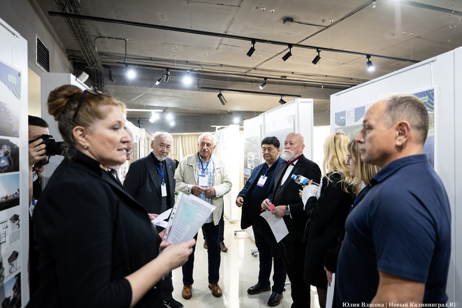 «Гнёзда» на Филинской бухте: проект из Москвы получил первую премию «ЭкоБерега» (фото)