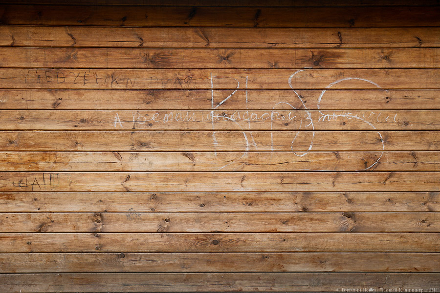 Навстречу лету: как в детском доме Зеленоградска День защиты детей отметили