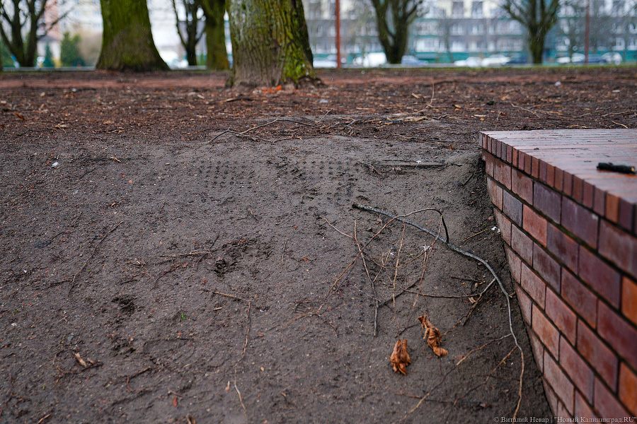 «Грязные» миллионы: во что превратился благоустроенный остров Канта к весне (фото)