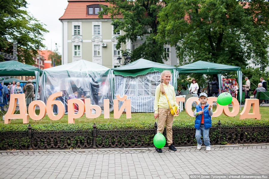 Иду, не курю: что интересного было на пешеходной зоне Дня города-2014