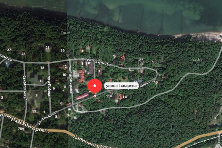 Площадки, фотозоны: власти Светлогорска задумали «развить» лесопарк в Отрадном