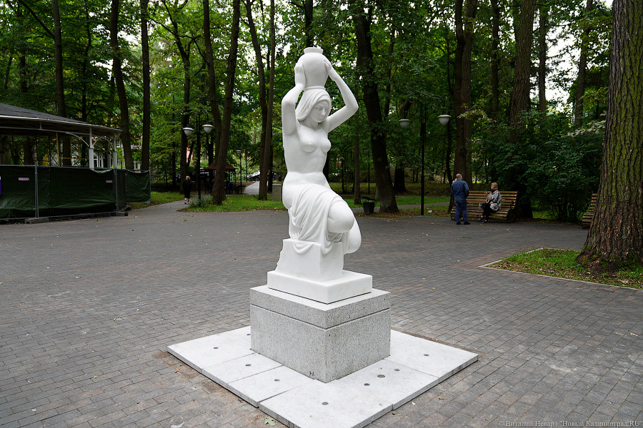 Фото: Виталий Невар / Новый Калининград